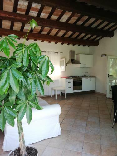 Bed & Breakfast Villa Belvedere Degli Ulivi