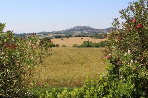 Bed & Breakfast Villa Belvedere Degli Ulivi