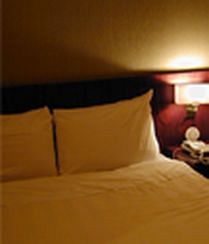 Hotel Friend