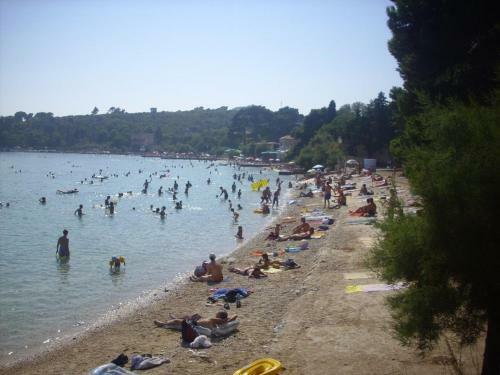 Apartments Marnic