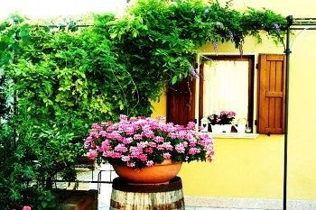 Hotel Agriturismo Ca' Nuova