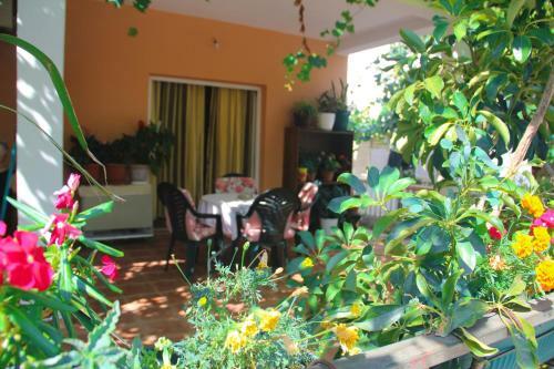 Apartamentos Guest House Viviana