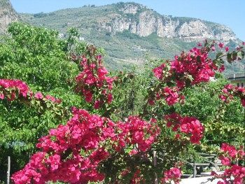 Bed & Breakfast Casa Sorrentino