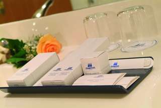 Maritim Airport Hotel Hannover