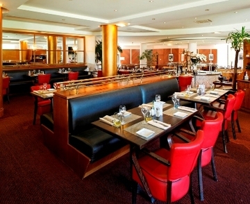 Hotel Radisson Blu Paris Charles De Gaulle Airport