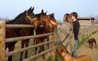 Agroturismo Agriturismo La Malaspina