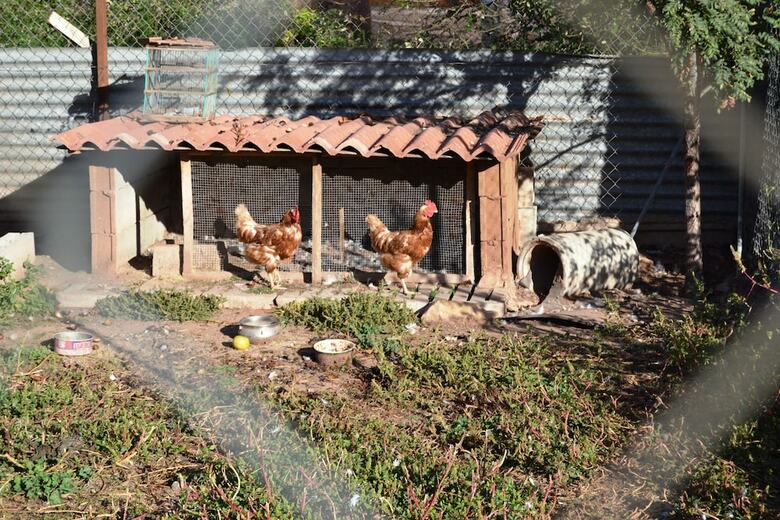 Apartamentos El Prado