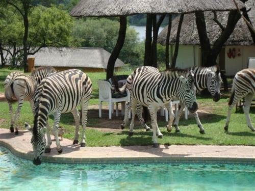 Hostal Avon Road Guest House & Tours