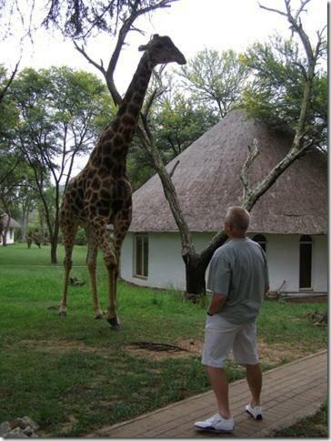 Hostal Avon Road Guest House & Tours