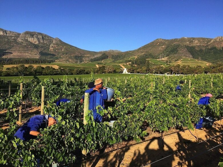 Bed & Breakfast 14 On Klein Constantia