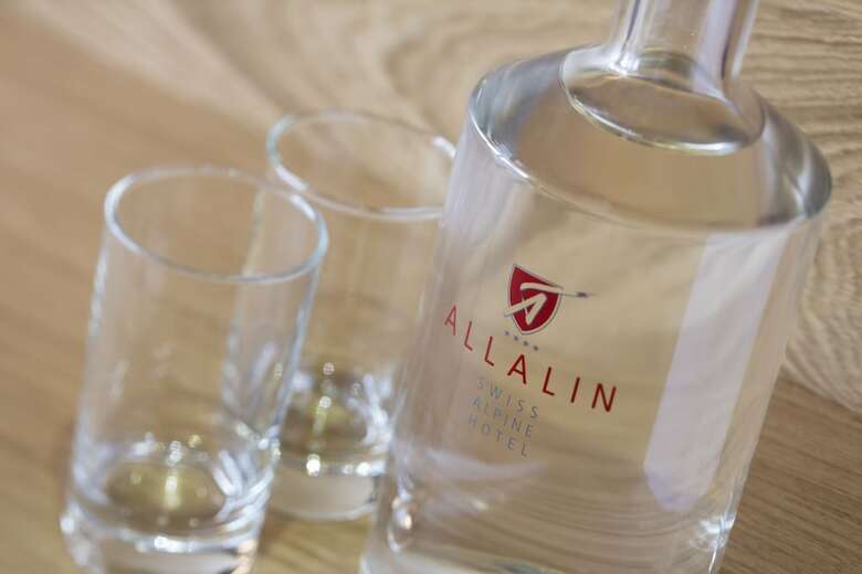 Hotel Allalin