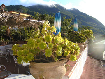 Hotel Villa Fiorentina