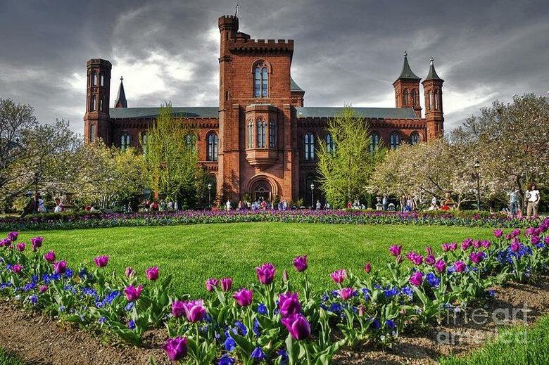 Best Western Pentagon Hotel - Reagan Airport