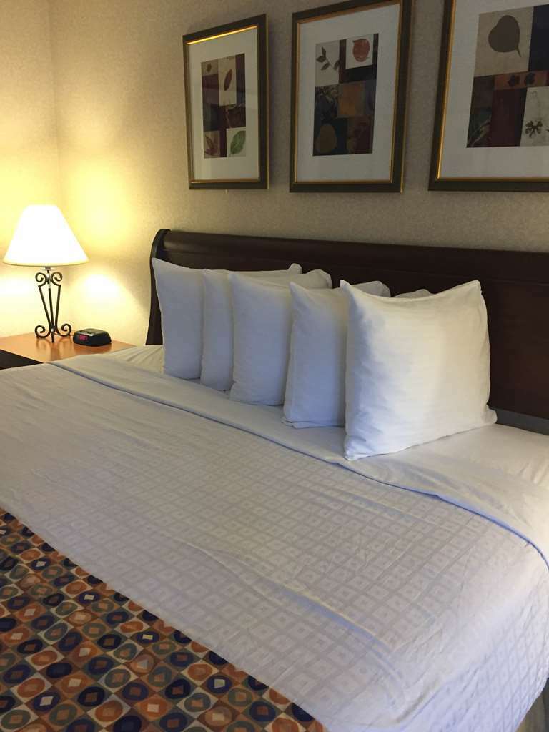 Best Western Pentagon Hotel - Reagan Airport