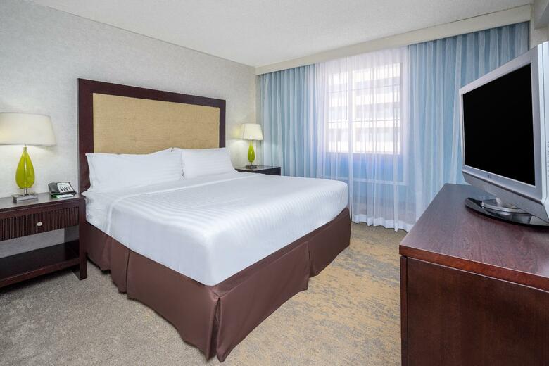Hotel Holiday Inn Inner Harbor