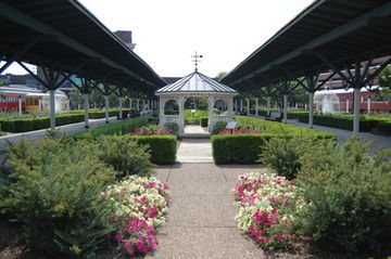 Hotel Holiday Inn Choo Choo