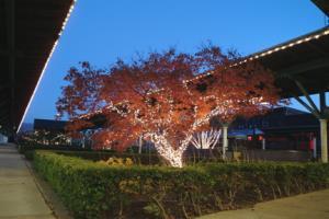 Hotel Holiday Inn Choo Choo