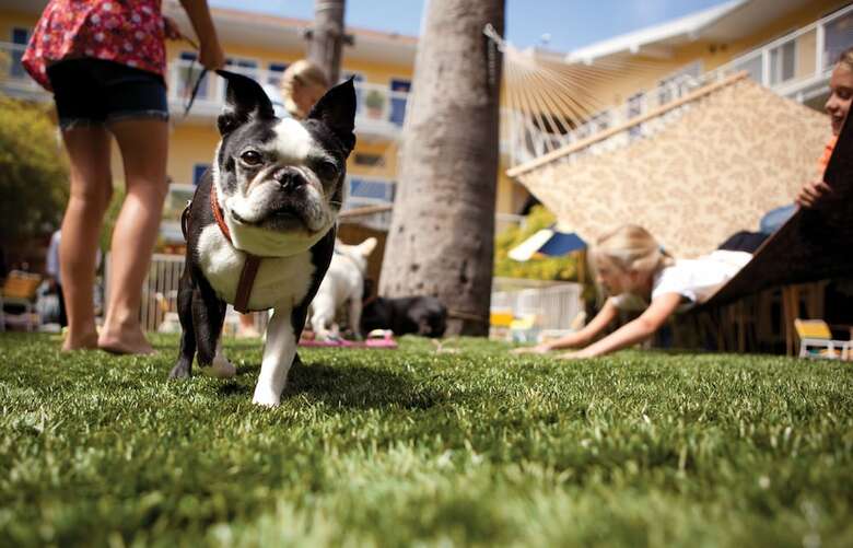 Del Sol, A Joie De Vivre Hotel