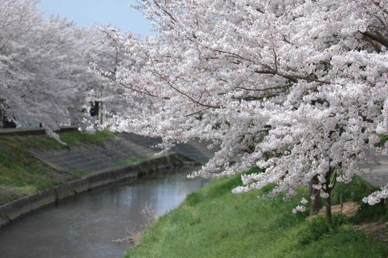 Nara Royal Hotel