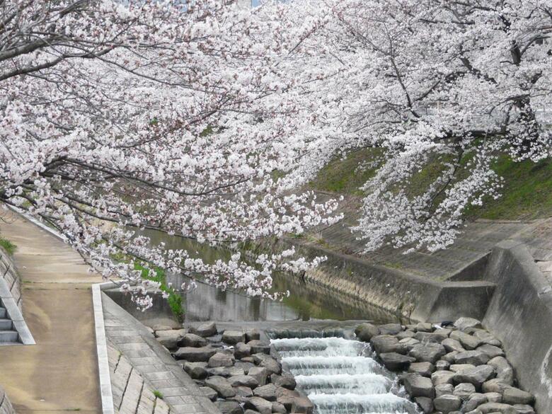 Nara Royal Hotel