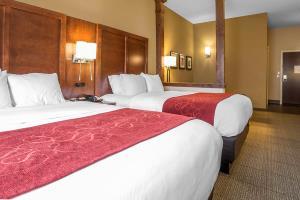 Hotel Comfort Suites