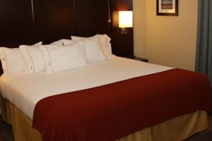 Holiday Inn Express Hotel & Suites
