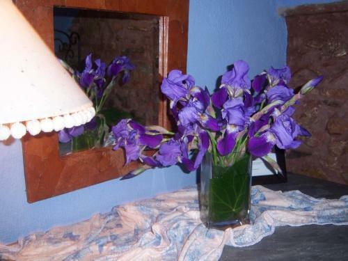 Hostal Les Velles Escoles