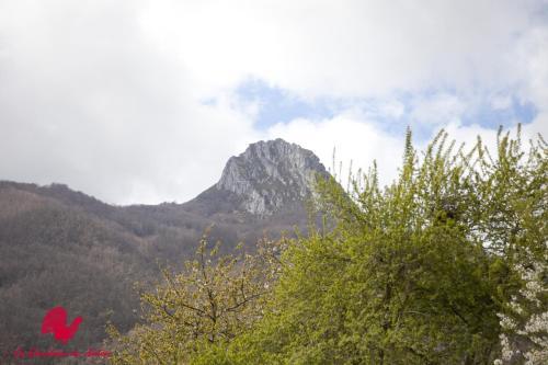 Agroturismo La Quintana De Ant�n