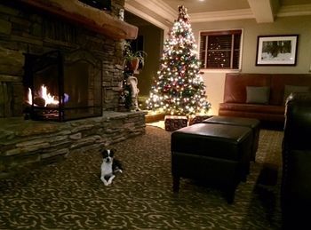 Hotel Mammoth Creek Inn