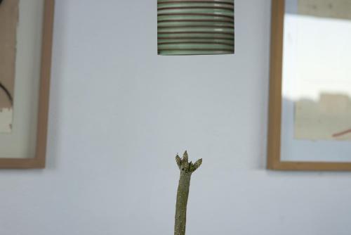 B&B Buenavista Lanzarote Country