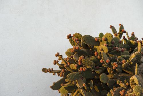 B&B Buenavista Lanzarote Country