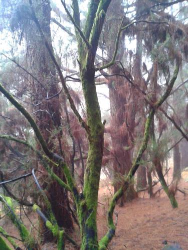 Apartamento Finca La Morera