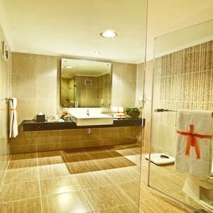 Hotel Century Park (superior)