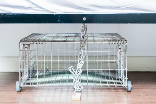 Sohostel