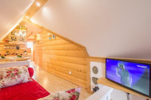 Apartamenty Tatra View