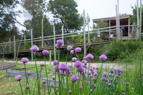 Hotel Pueblo Barrancas