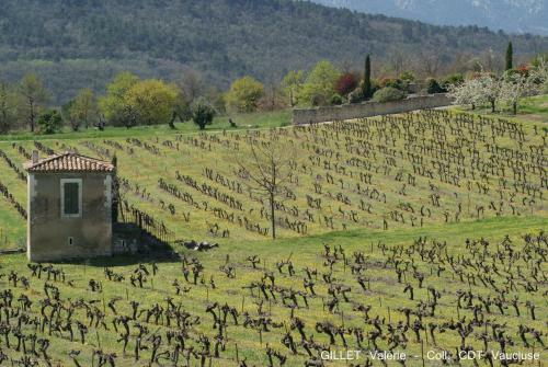 Agroturismo Les Terrasses