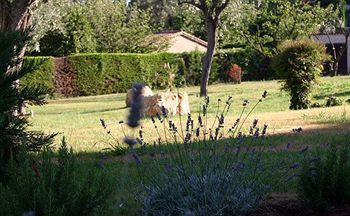 Hotel H�tel Du Clos