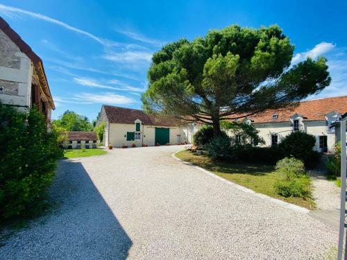 Bed & Breakfast La Pillebourdiere