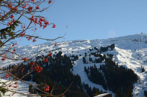 Apartamento Appartement Flaine For�t