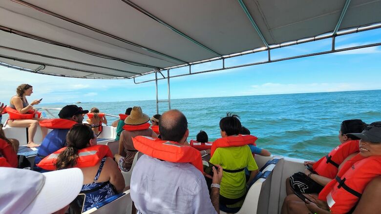 Hotel Whales  And  Dolphins