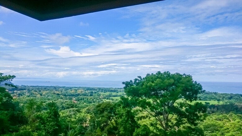 Hotel Whales  And  Dolphins