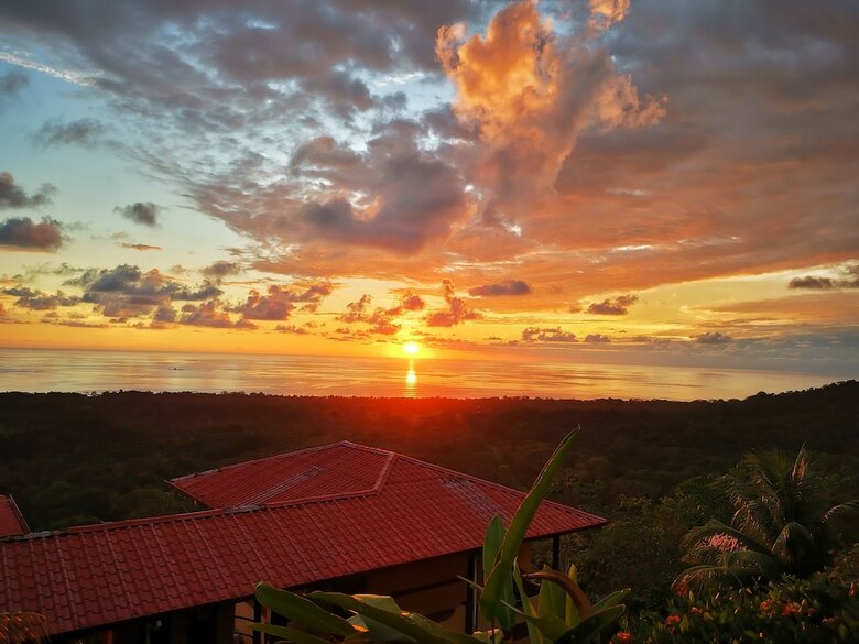Hotel Whales  And  Dolphins