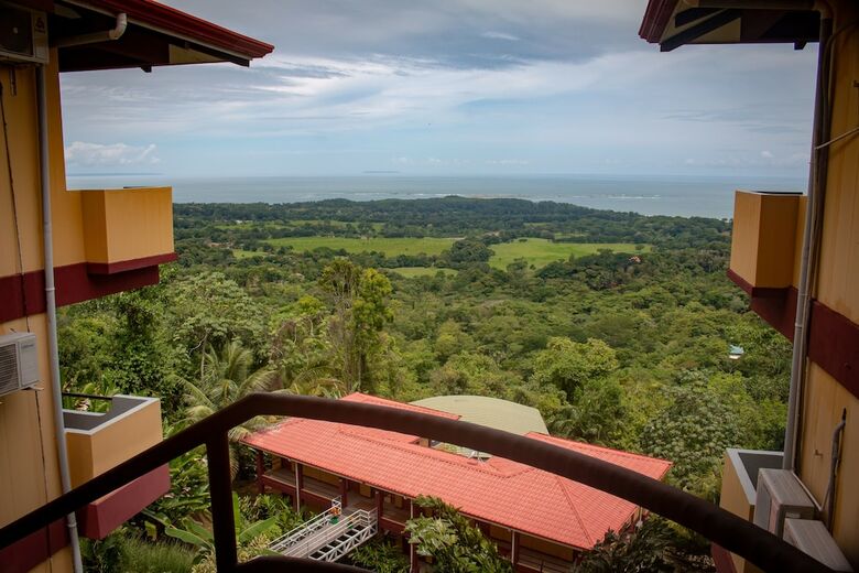 Hotel Whales  And  Dolphins