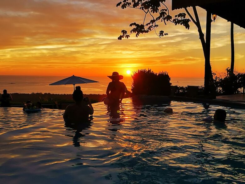 Hotel Whales  And  Dolphins