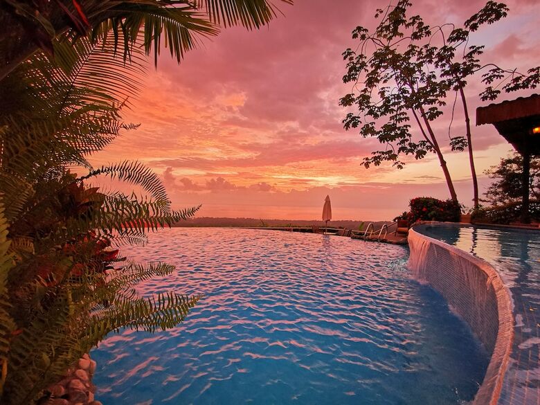 Hotel Whales  And  Dolphins