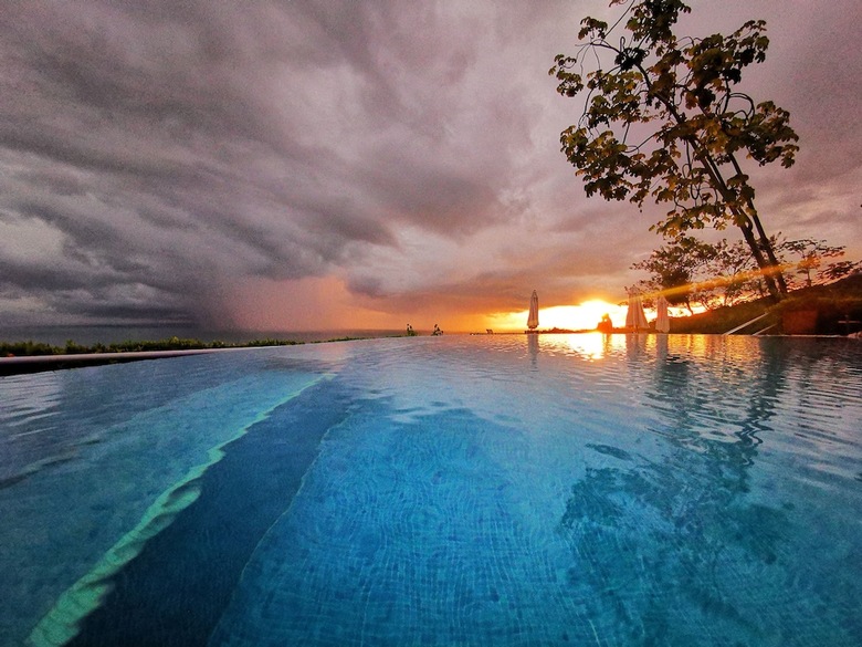 Hotel Whales  And  Dolphins