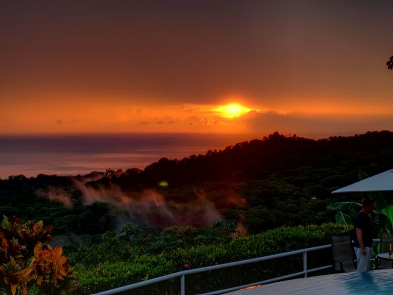 Hotel Whales  And  Dolphins