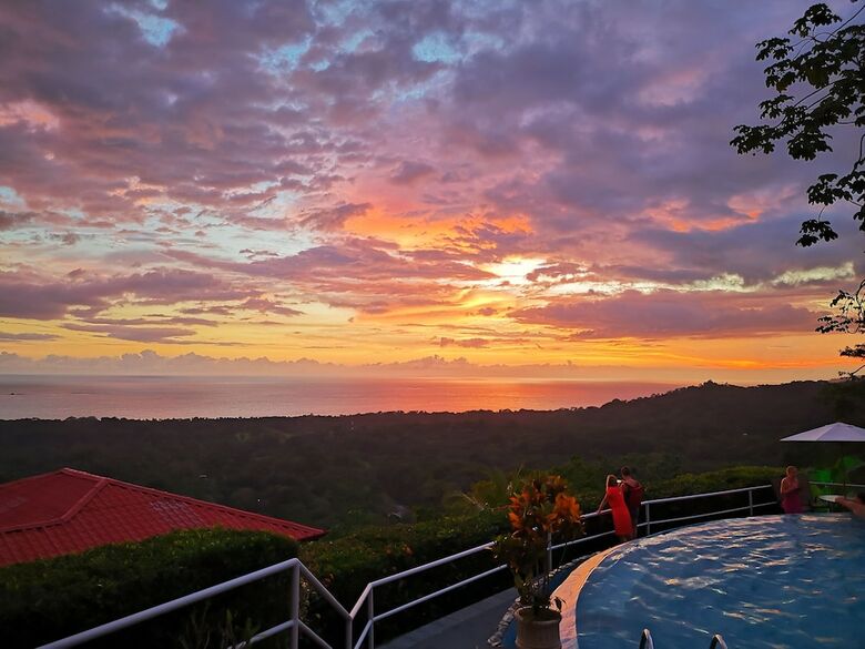 Hotel Whales  And  Dolphins