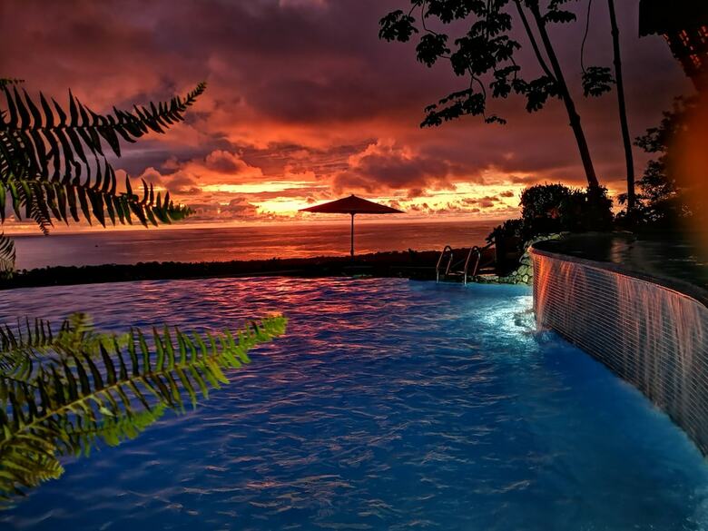 Hotel Whales  And  Dolphins